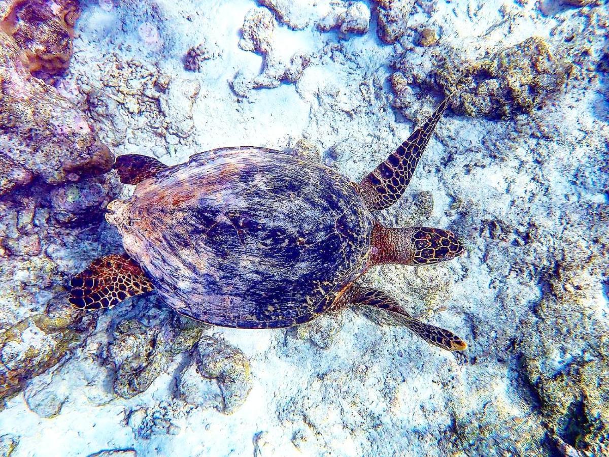 La Due Thulusdhoo Hotel Buitenkant foto