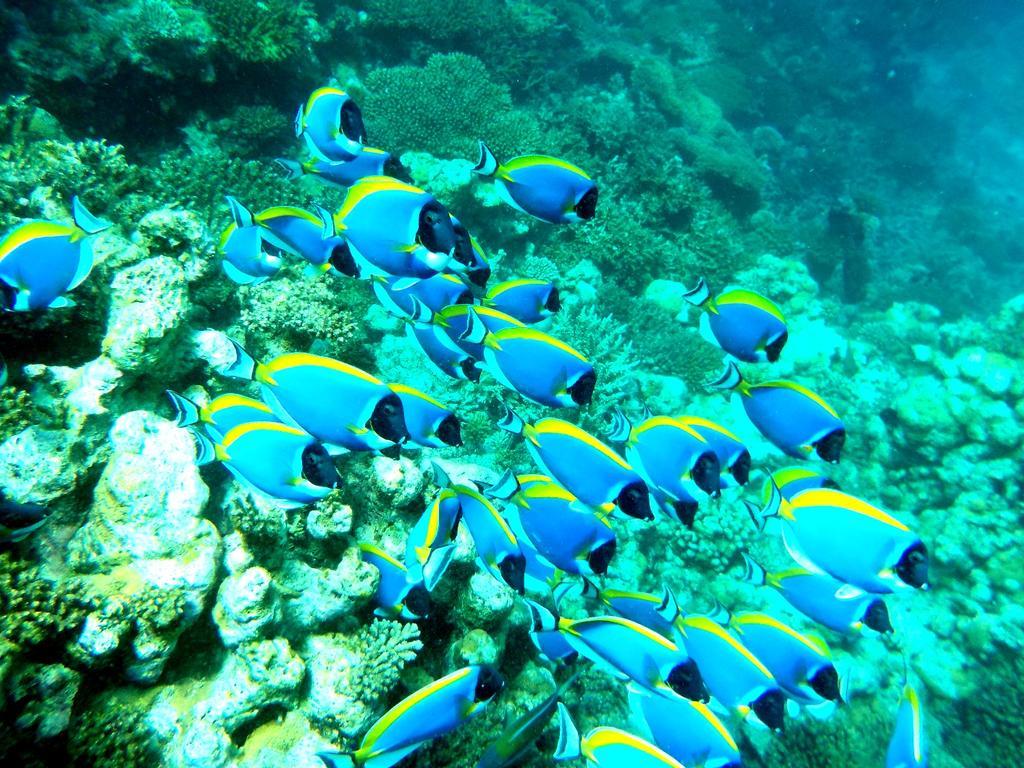 La Due Thulusdhoo Hotel Buitenkant foto